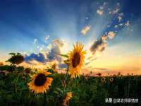 广佳（广州）企业管理顾问有限公司