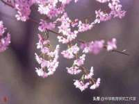 广佳（广州）企业管理顾问有限公司
