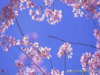 广佳（广州）企业管理顾问有限公司