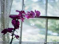 广佳（广州）企业管理顾问有限公司