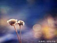 广佳（广州）企业管理顾问有限公司