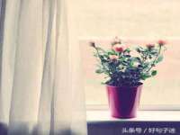 广佳（广州）企业管理顾问有限公司