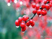 广佳（广州）企业管理顾问有限公司