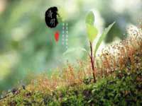 广佳（广州）企业管理顾问有限公司