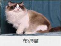 广佳（广州）企业管理顾问有限公司