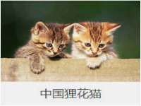 广佳（广州）企业管理顾问有限公司