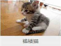 广佳（广州）企业管理顾问有限公司