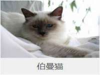 广佳（广州）企业管理顾问有限公司