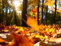 广佳（广州）企业管理顾问有限公司