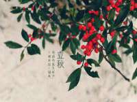 广佳（广州）企业管理顾问有限公司