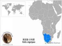 广佳（广州）企业管理顾问有限公司