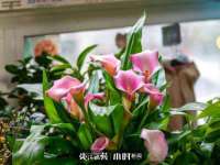 广佳（广州）企业管理顾问有限公司