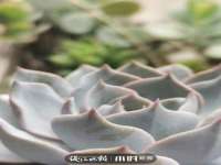 广佳（广州）企业管理顾问有限公司