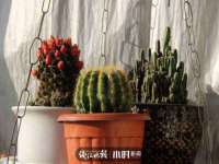 广佳（广州）企业管理顾问有限公司