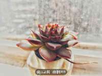 广佳（广州）企业管理顾问有限公司