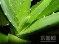 广佳（广州）企业管理顾问有限公司