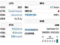 广佳（广州）企业管理顾问有限公司