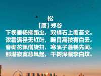 广佳（广州）企业管理顾问有限公司
