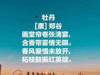 广佳（广州）企业管理顾问有限公司