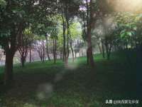 广佳（广州）企业管理顾问有限公司