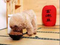 广佳（广州）企业管理顾问有限公司
