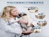广佳（广州）企业管理顾问有限公司