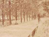 广佳（广州）企业管理顾问有限公司