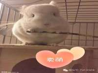 广佳（广州）企业管理顾问有限公司