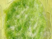 广佳（广州）企业管理顾问有限公司