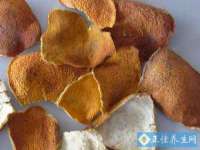 广佳（广州）企业管理顾问有限公司