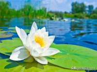 广佳（广州）企业管理顾问有限公司