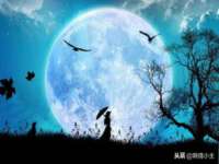 广佳（广州）企业管理顾问有限公司