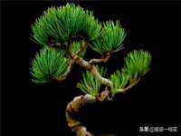 广佳（广州）企业管理顾问有限公司