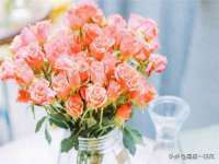 广佳（广州）企业管理顾问有限公司