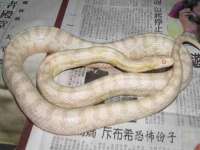 广佳（广州）企业管理顾问有限公司